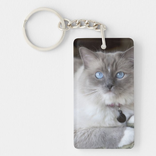 Llavero Gata Ragdoll hembra (Frente)