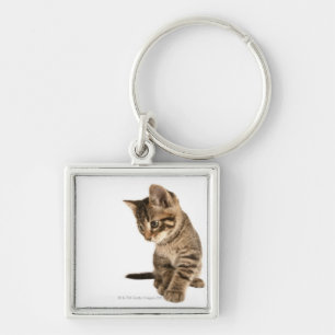 Llavero Gatito 2