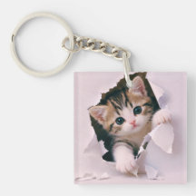Gatito Adorable
