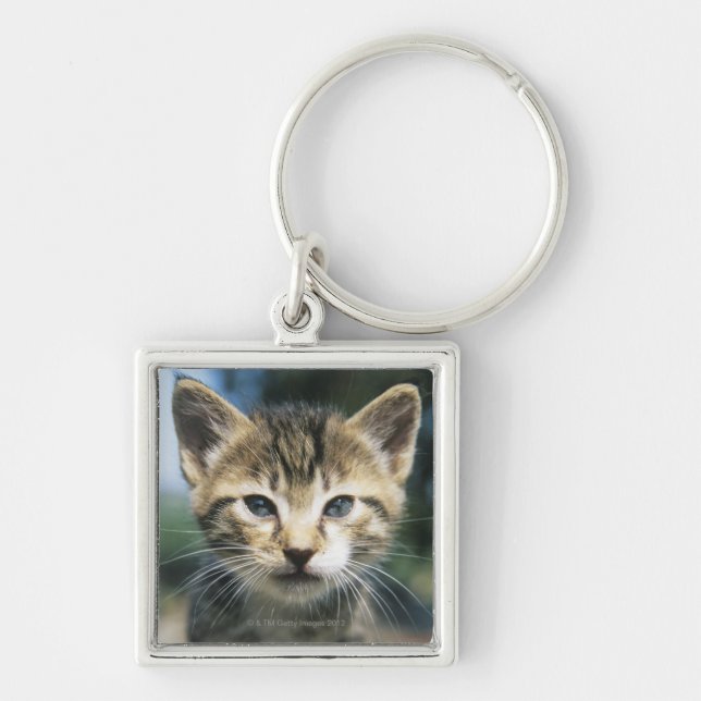 Llavero Gatito al aire libre (Frente)