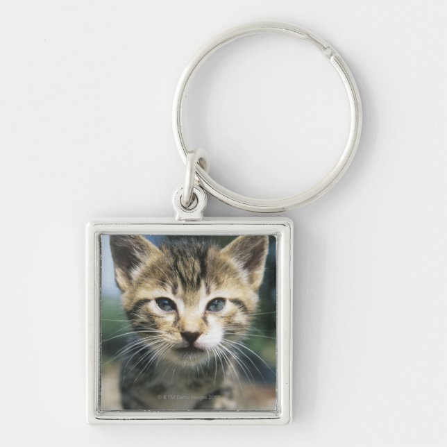 Llavero Gatito al aire libre (Frente)