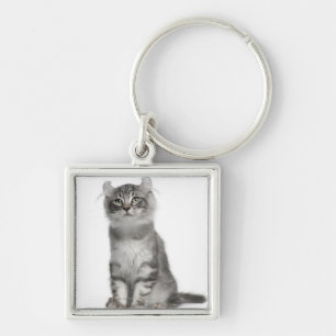 Llavero Gatito americano del rizo (3 meses)