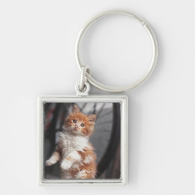 Llavero Gatito anaranjado del Tabby (Frente)