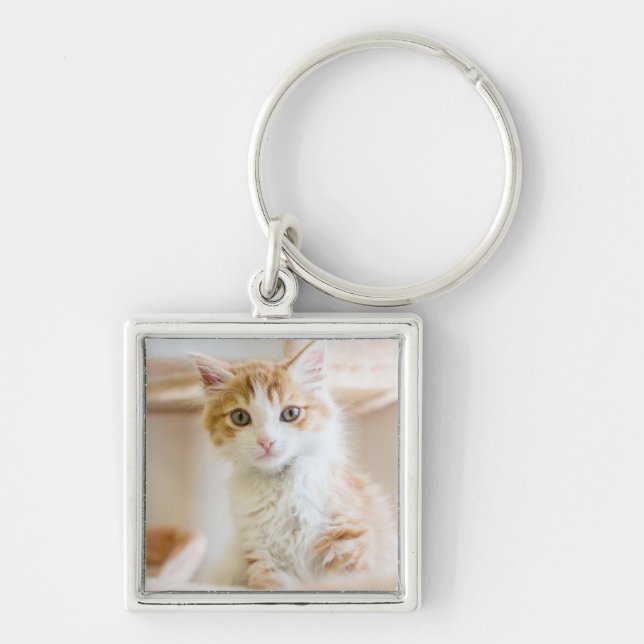 Llavero Gatito anaranjado y blanco (Frente)