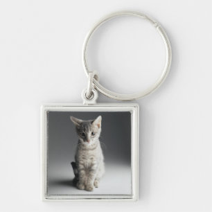 Llavero Gatito azul del Tabby