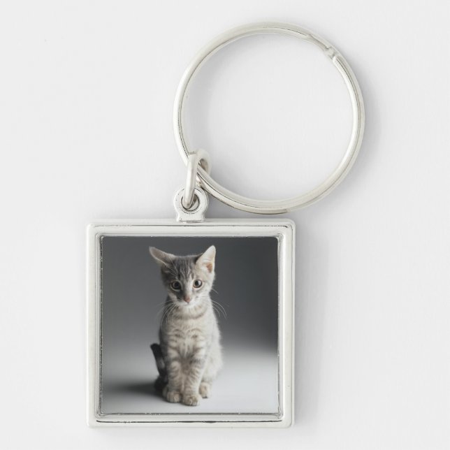 Llavero Gatito azul del Tabby (Frente)