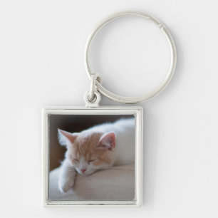 Llavero Gatito beige y blanco cansado