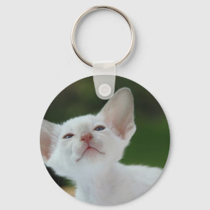 Llavero Gatito blanco siamés
