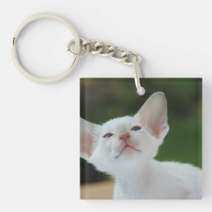 Llavero Gatito blanco siamés