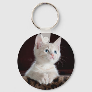Llavero Gatito blanco súper lindo