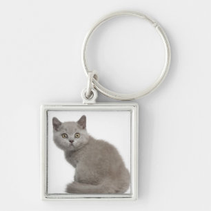 Llavero Gatito británico de Shorthair (10 semanas de