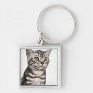 Llavero Gatito británico de Shorthair (4 meses)