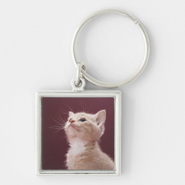 Llavero Gatito con las barbas (Frente)