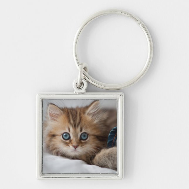 Llavero Gatito con los ojos azules (Frente)