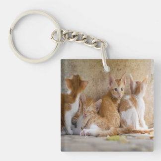 Llavero Gatito de Atigrado Naranja y Blanco/Agrega la Foto
