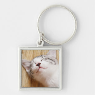 Llavero Gatito el dormir
