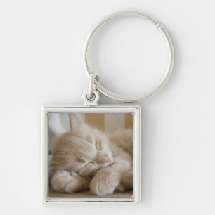 Llavero Gatito el dormir