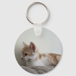 Llavero Gatito jengibre y blanco