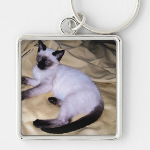 Llavero Gatito lindo del mascota animal del arte de la