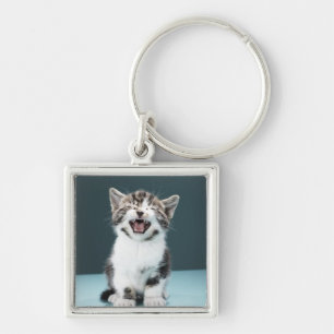 Llavero Gatito meowing