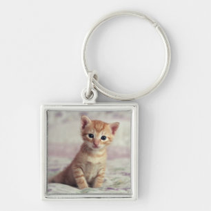 Llavero Gatito minúsculo del jengibre