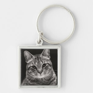 Llavero Gatito negro del Tabby