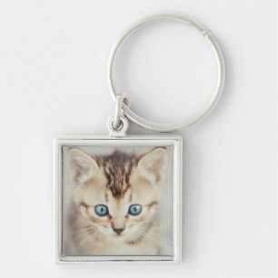 Llavero Gatito observado azul