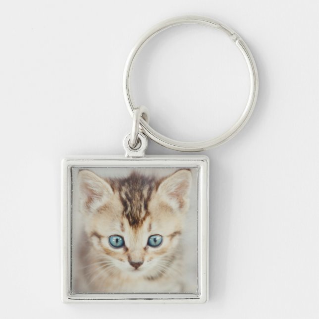 Llavero Gatito observado azul (Frente)