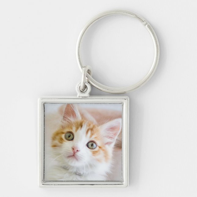 Llavero Gatito observado azul dulce (Frente)