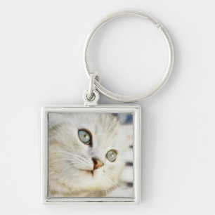 Llavero Gatito, primer 2