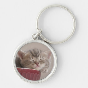 Llavero Gatito que duerme en un cuenco