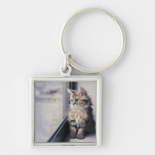 Llavero Gatito que mira hacia fuera la ventana