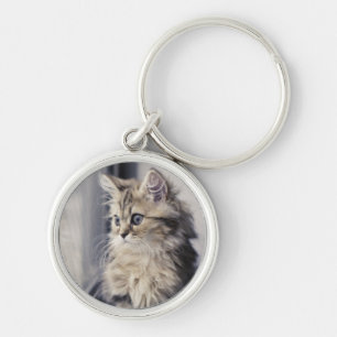 Llavero Gatito que mira hacia fuera la ventana