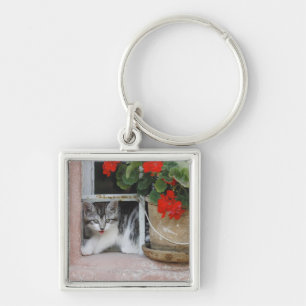 Llavero Gatito que mira hacia fuera la ventana