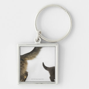 Llavero Gatito que mira para arriba la cola de su madre