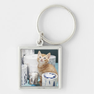 Llavero Gatito que se sienta entre las latas de la pintura