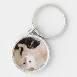 Llavero Gatitos blancos y negros