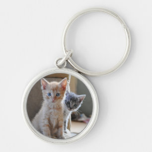 Llavero Gatitos curiosos
