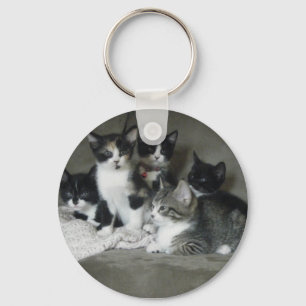 Llavero Gatitos demasiado lindos