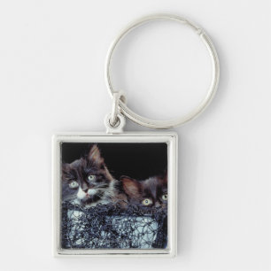 Llavero Gatitos en envase