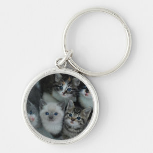 Llavero Gatitos en una cesta