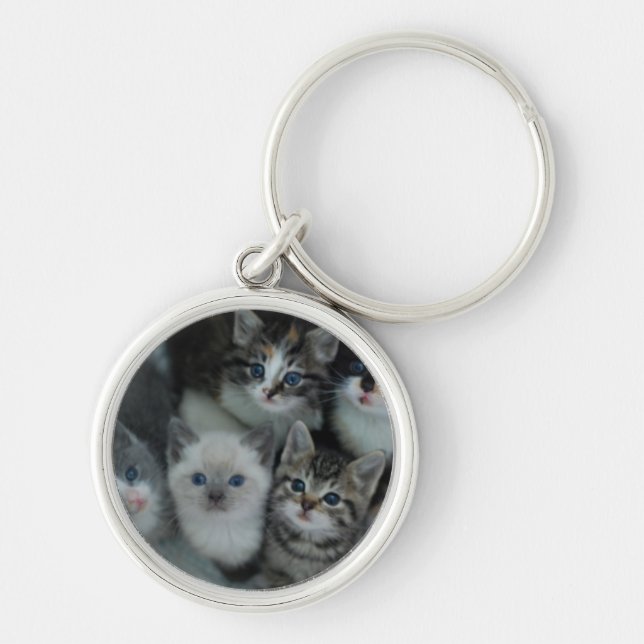 Llavero Gatitos en una cesta (Frente)