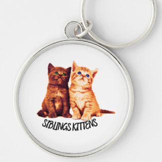 Llavero Gatitos hermanos, dos gatos lindos