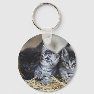 Llavero Gatitos, Mascota, Felinos