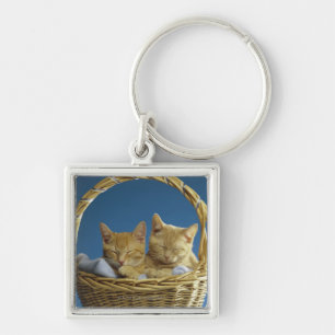 Llavero Gatitos que duermen en cesta