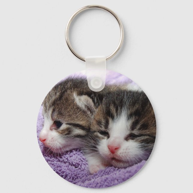 Llavero Gatitos somnolientos (Anverso)