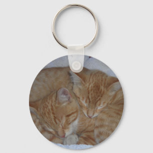 Llavero Gatitos somnolientos