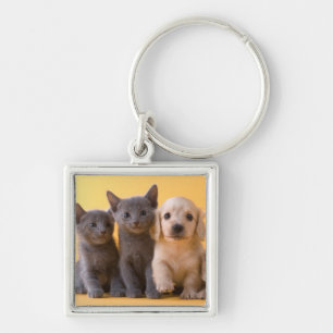Llavero Gatitos y perritos azules rusos del Dachshund