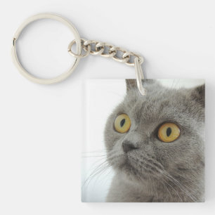 Llavero gato