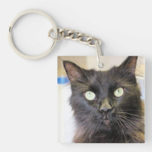 Llavero Gato